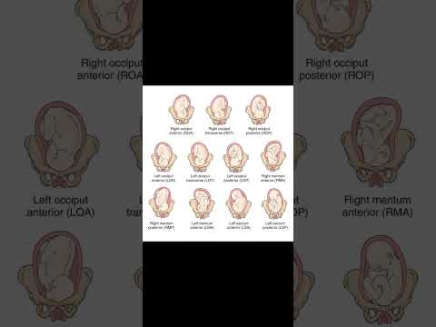 Fetal Position