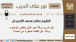 هل شرب مرقة لحم الإبل ينقض الوضوء وماذا عن قطعة صغيرة من لحمه؟ الشيخ اللحيدان - مشروع كبار العلماء image