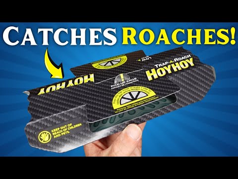 HOY HOY Trap A Roach: HOW TO SET IT UP and ASSEMBLE Your Glue Trap!