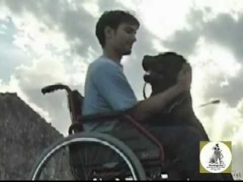 no!alle barriere architettoniche.Attore CHRISTIAN DI PASQUALE