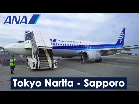 Miniatura YouTube dla ANA Boeing 737-800 Passenger