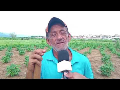 Seu Damião, 65 anos: a voz do homem do campo em Santana do Matos / RN.