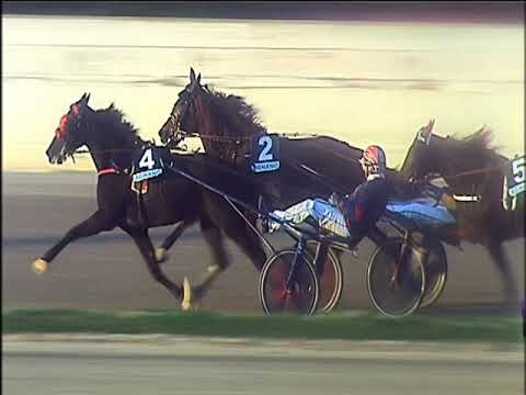 Trotto 08/12/2019 - 4ª corsa