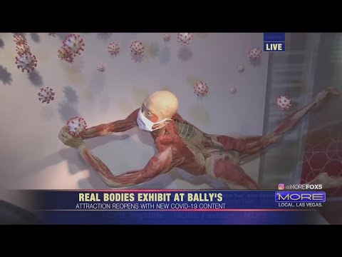 Go To School With FOX5: Real Bodies Exhibit at Bally's adds COVID-19 sections