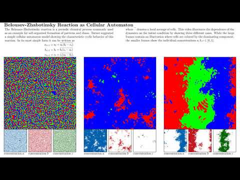 Belousov-Zhabotinsky Reaction as Cellular Automaton - Initial Condition