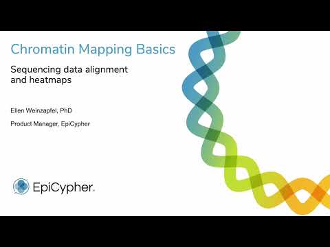 Analysis of chromatin mapping data: Sequencing tracks and heatmaps