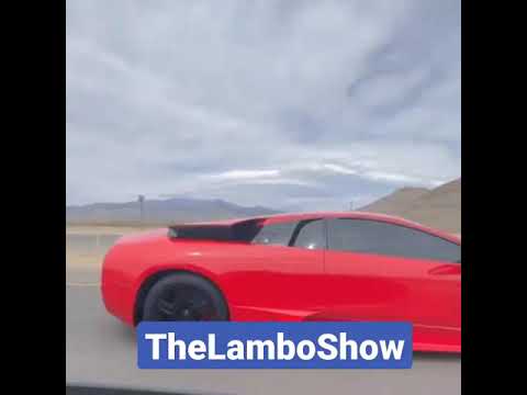 Thumbnail for Bizzarrini V12 in the LP640 is my favorite engine of all time! hat is yours? by Bizzarrini