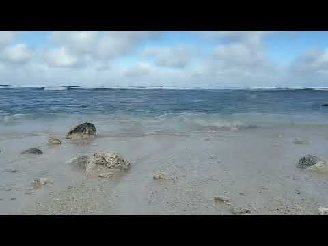 Relaxing Ocean Sounds, Gentle Waves on a Small White Rock Beach White Noise for Relaxation and sleep