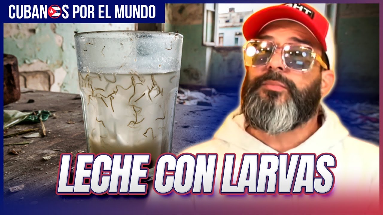 ¡Asco total! Leche con larvas de mosquito para los niños en Cuba