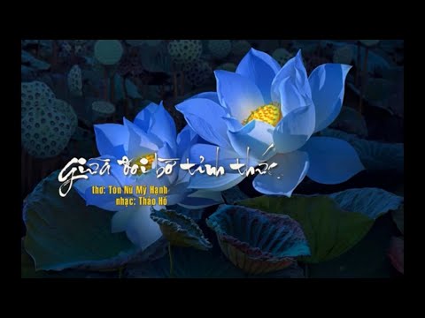 Giữa đôi bờ tỉnh thức Sheet - Thảo Hồ