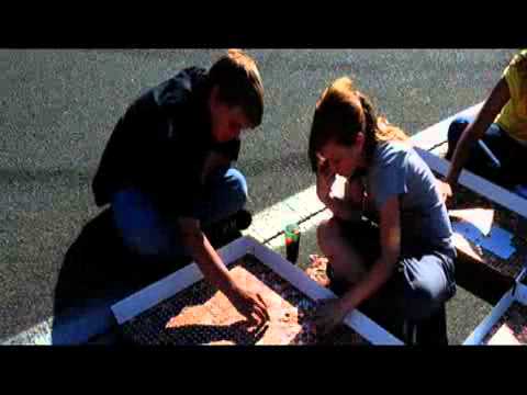 5,491,720 pennies set World Record - 2009-03-26