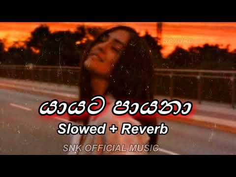 YAAYATA PAAYANA PODA SADA | Slowed + Reverb @Sayuruu_