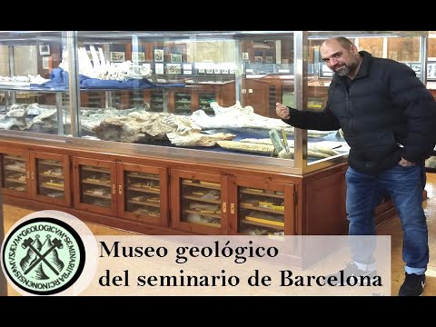 Miniatura del video