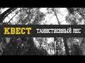 Видео Квест - Таинственный лес 