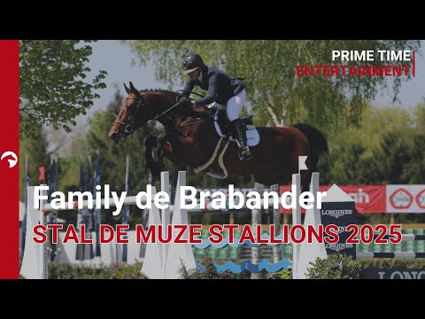 Stal de Muze Stallions 2025 - Family de Brabander