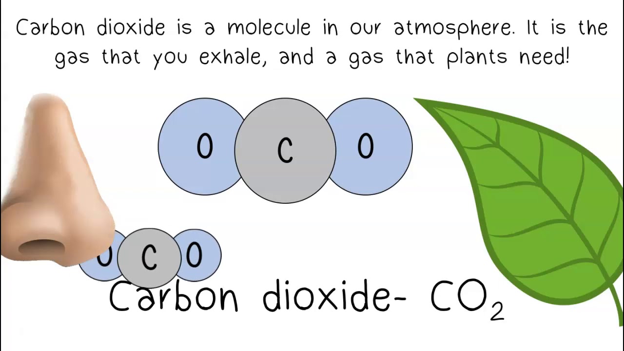 Atoms, Elements, and Molecules