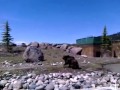 MGE Jake Maggi Play In The Pond May 14 2010 Mp4