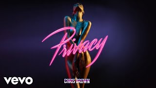 Chris Brown — Privacy (Audio)
