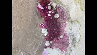 (Afternoon) Soaps -  Arab Strap / Clip officieux