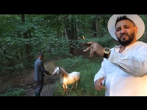 George Pian - Manz ordinar diss Jargor