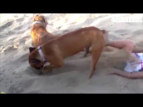 Лучшие приколы 4smile #7 Смешное видео подборка за неделю март 2016 fail compilation