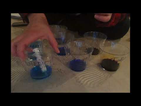 Setting up for the Indicator Lab - Unit 7.4 Matter Cycling & Photosynthesis Lesson 2