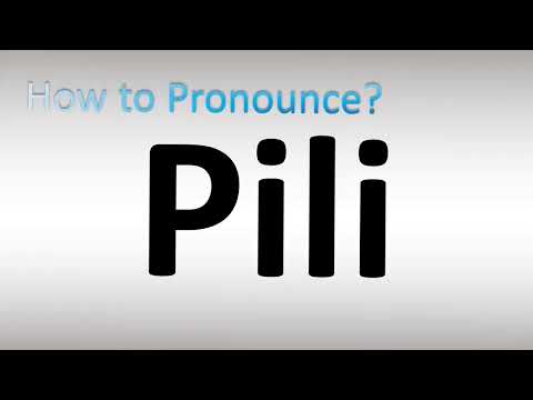 How to Pronounce Pili