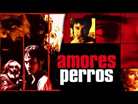 Amores Perros 2000 | Drama | Crime  | Gael García Bernal | Amores Perros Full Movie Fact & Details