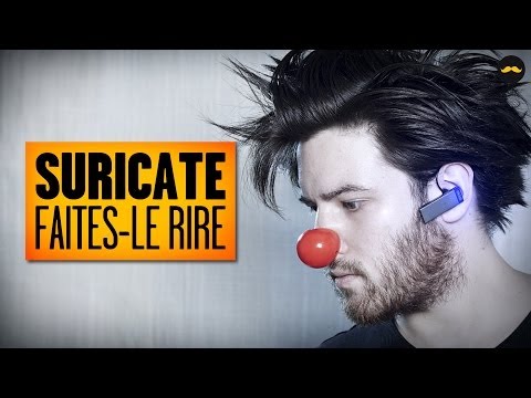 SURICATE - Faites-Le Rire / Make Him Laugh