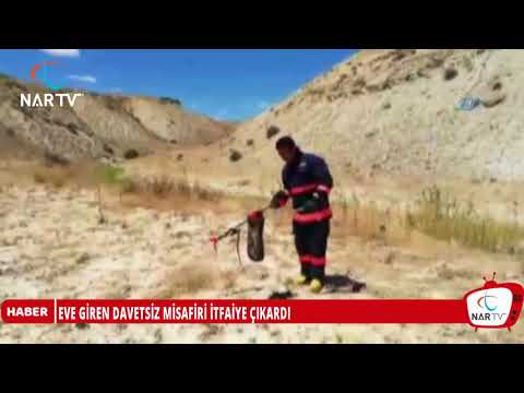 EVE GİREN DAVETSİZ MİSAFİRİ İTFAİYE ÇIKARDI