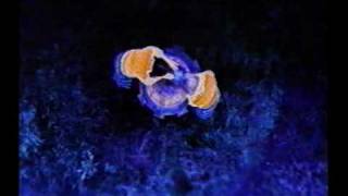 Danzig   Don&#39;t Mind The Pain