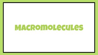 Conquer Macromolecules: Your High School Biology Crash Course!