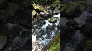 preview picture of video 'Silangjana,  Candi Kuning waterfalls'