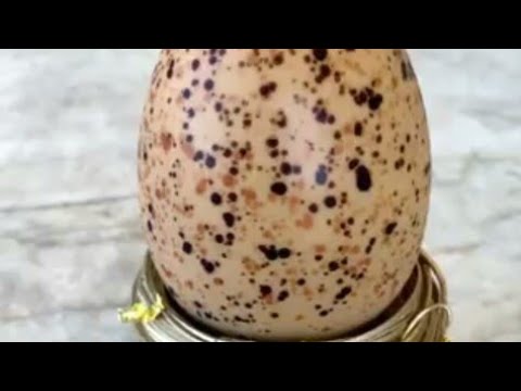 Amazing Makeout Of Delicious Quail Egg Cake |Shahriar mix |