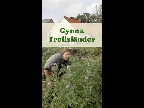 Gynna Trollsländor - Trädgårdshacks med GardenR
