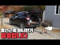 (실험카메라) 직접 보여드리겠습니다.