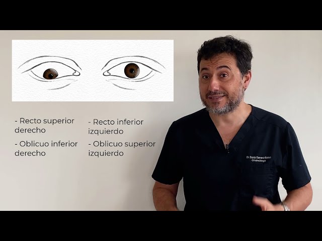 Vídeo relacionado con 3B Scientific VR3185UU Impreso En Papel, Mal posiciones de los pies