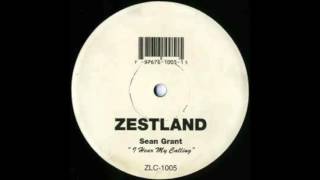 Sean Grant - Fade To Black (Untitled Mix)