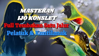 Download lagu MASTERAN CUCAK IJO KONSLET‼️ FULL TEMBAKAN PELATUK BAWANG DAN GROJOKAN KUNTILANAK mp3