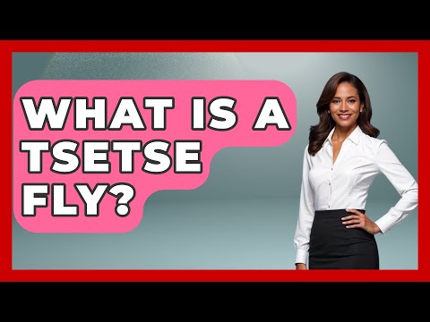 What Is A Tsetse Fly? - The Wild Life Explorer