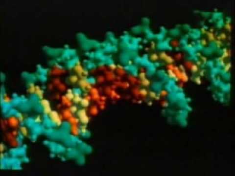 Captura del vídeo El origen del universo