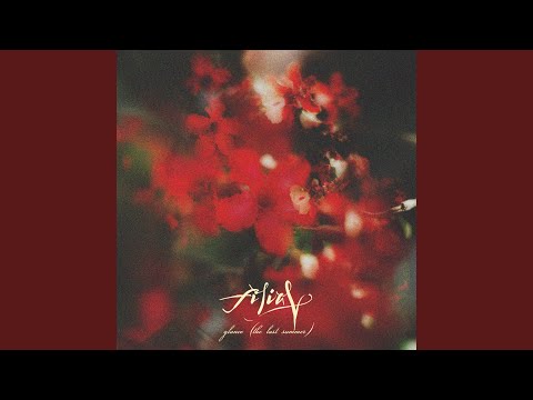 Glance (The Last Summer)