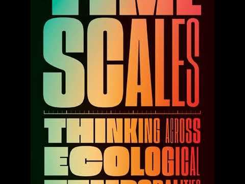 Time and the interplay between human history and planetary history