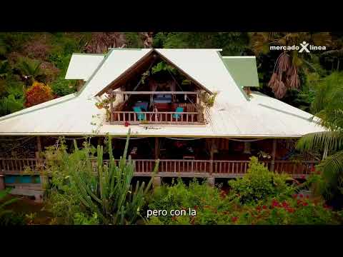 Comercial Altos del Guanito