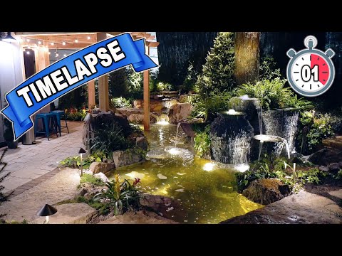 Custom *INDOOR POND* Timelapse!