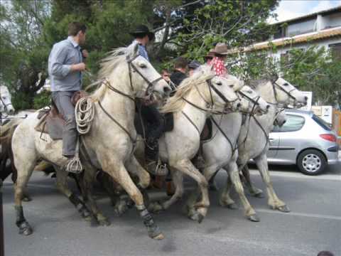 Joel Bros - camargue video finalbluemenco.wmv