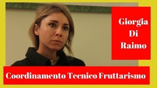 Anteprima video YouTube