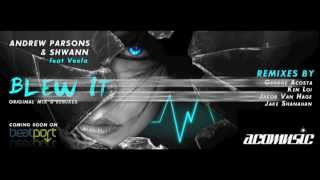 Andrew Parsons & Shwann - Blew It (Promo Video)