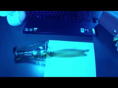 Patrol - Patologia Miast