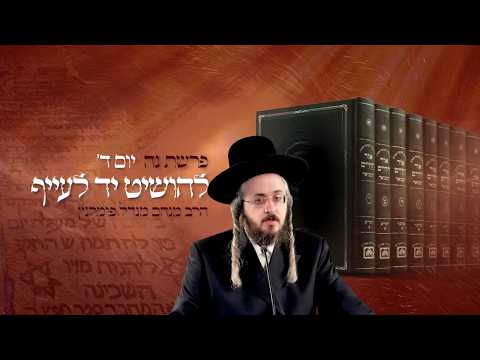 רגע קדוש מהאור החיים - יום ד' פרשת נח